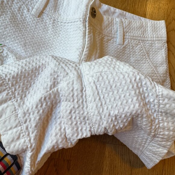 Lilly Pulitzer Callahan Shorts Pineapple Patch Embellishment Size 6 - Picture 5 of 14